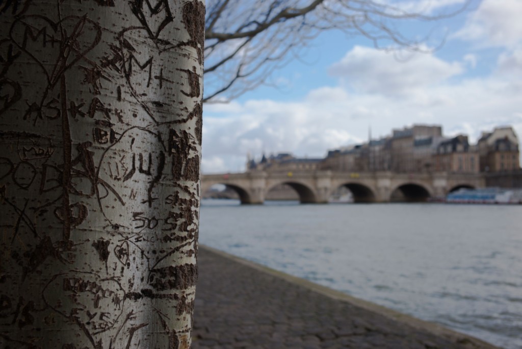 Paris center - the quays of the seine louvre district